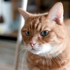 106位のイメージ