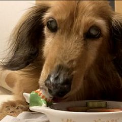 645位のイメージ