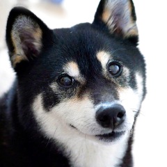 22位のイメージ