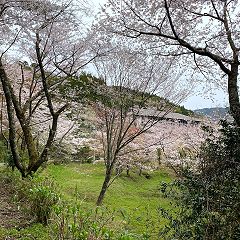 176位のイメージ