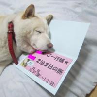 2567位のイメージ