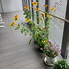 114位のイメージ