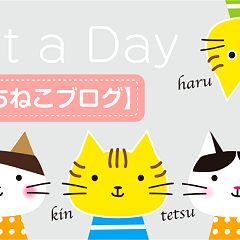 9167位のイメージ