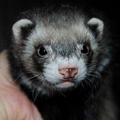 14位のイメージ