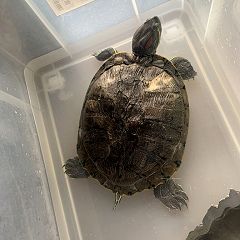 28位のイメージ