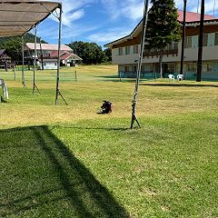 14位のイメージ