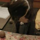 229位のイメージ