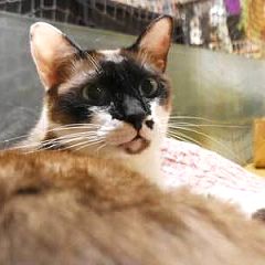 600位のイメージ