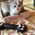 1484位のイメージ