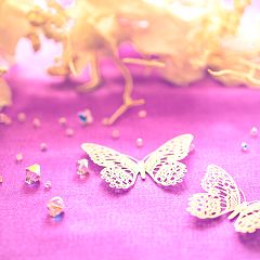 26位のイメージ