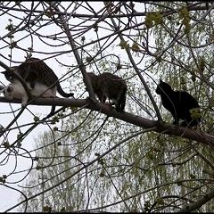 142位のイメージ