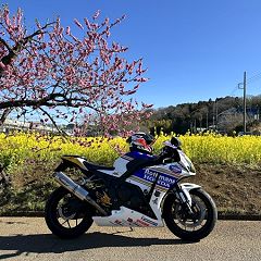 1301位のイメージ