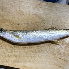 1652位のイメージ