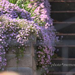 109位のイメージ