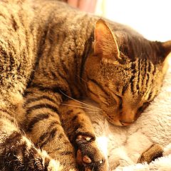 115位のイメージ