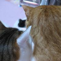 302位のイメージ