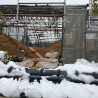 46位のイメージ