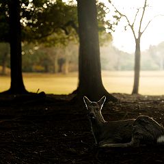 10位のイメージ