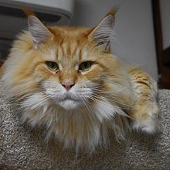 24位のイメージ