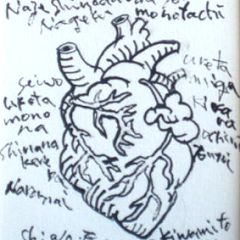 17位のイメージ