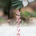 116位のイメージ