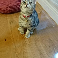 14位のイメージ