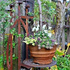 14位のイメージ