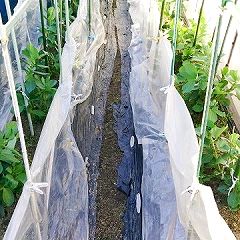 31位のイメージ