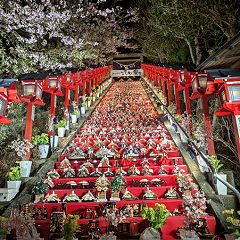 439位のイメージ