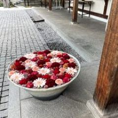 38位のイメージ