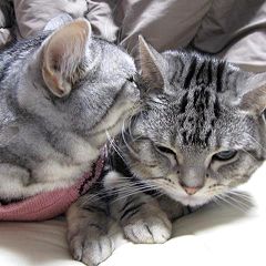 2629位のイメージ