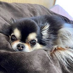 21位のイメージ
