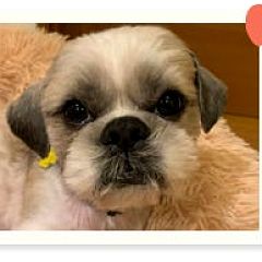 32位のイメージ