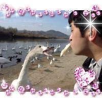 157位のイメージ