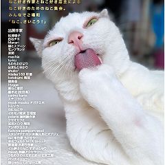 58位のイメージ