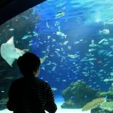 708位のイメージ