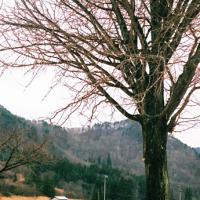 126位のイメージ