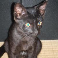 314位のイメージ