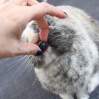 967位のイメージ