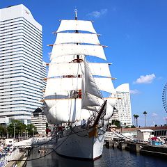 791位のイメージ