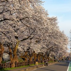 41187位のイメージ