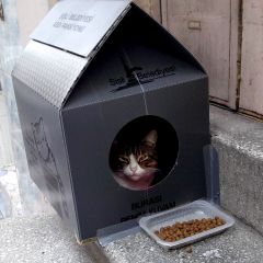2764位のイメージ