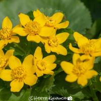 98位のイメージ