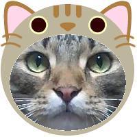 40405位のイメージ