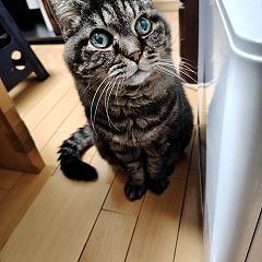 111位のイメージ