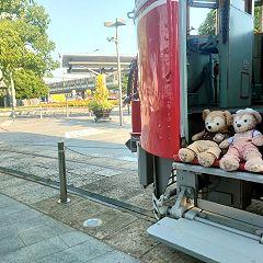 11位のイメージ