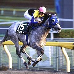 1535位のイメージ