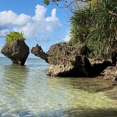 70位のイメージ