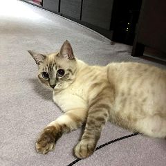 1304位のイメージ