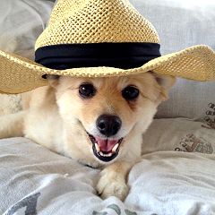 20位のイメージ